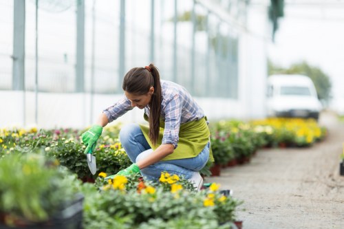 Garden clearance services in Seven Sisters transforming an outdoor space