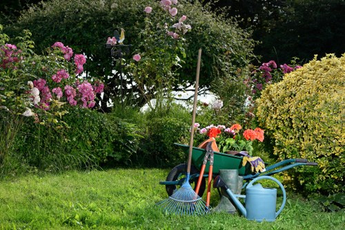 Professional gardeners performing comprehensive garden clearance