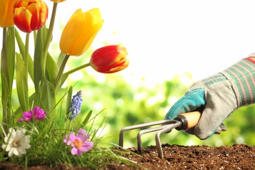 Eco-friendly garden practices promoting sustainability in Seven Sisters