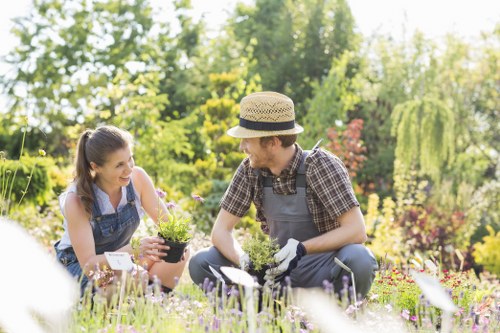 Garden clearance process with initial assessment and planning